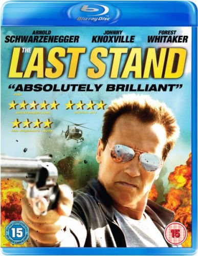 The Last Stand 2013 Hindi Dubbed Dual Audio BRRip 720p